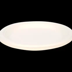 Feestartikelen- Borden van bagasse | Action NL