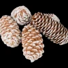Woonaccessoires- Decoratiemix | Action NL