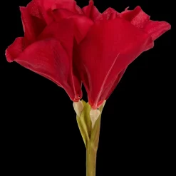 Kunstplanten & -Bloemen- Kunstamaryllis op steel | Action NL