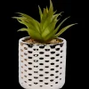 Kunstplanten & -Bloemen- Kunstvetplant in pot | Action NL