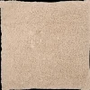 Kussens- Teddy kussen 60 x 60 cm Wit | Action NL