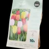 Zaaien & Planten- Tulpenbollen | Action NL