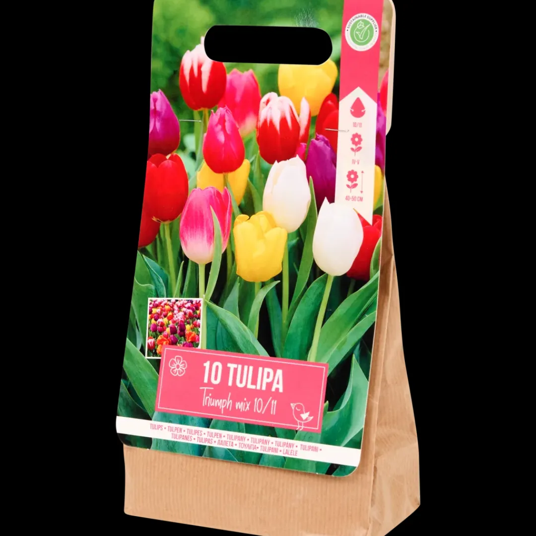 Zaaien & Planten- Tulpenbollen | Action NL