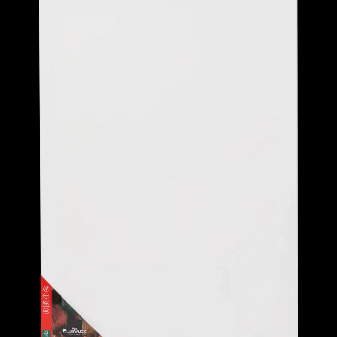 Schilderen-Van Bleiswijck canvas | Action NL