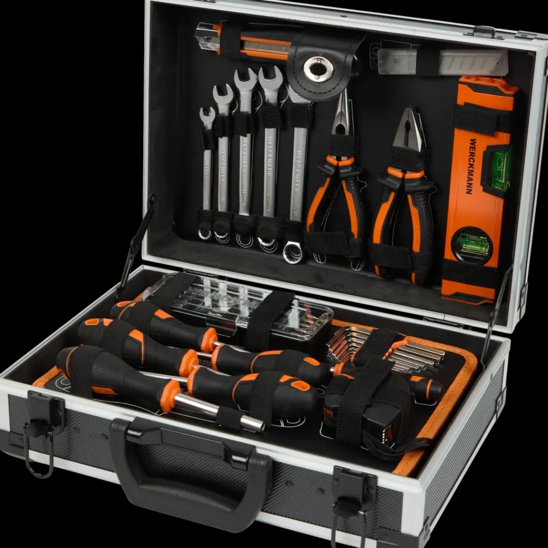 Gereedschap-Werckmann gereedschapsset | Action NL